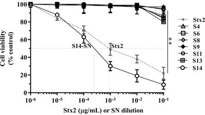 Detection of Shiga Toxin-Producing Escherichia coli (STEC) in the Endocervix of Asymptomatic Pregnant Women. Can STEC Be a Risk Factor for Adverse Pregnancy Outcomes?